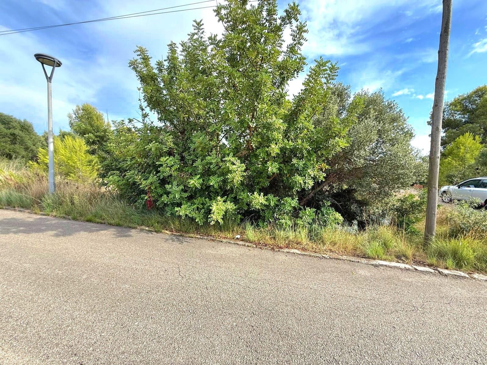 Imagen 5 Solar Urbano en venta en Vendrell El / A 500 metros de la C-31 y cerca del campo de golf.