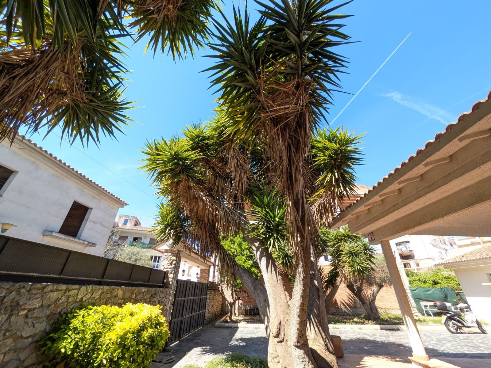 Imagen 39 Casa Aislada en venta en Bonastre / Casa a 15 minutos de Roda de Barà