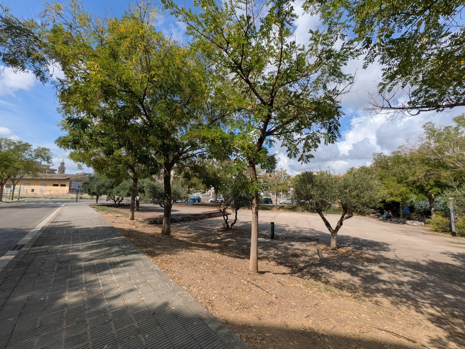 Imagen 39 Apartamento en venta en Vendrell El / A 5 minutos a pie de la estación de tren