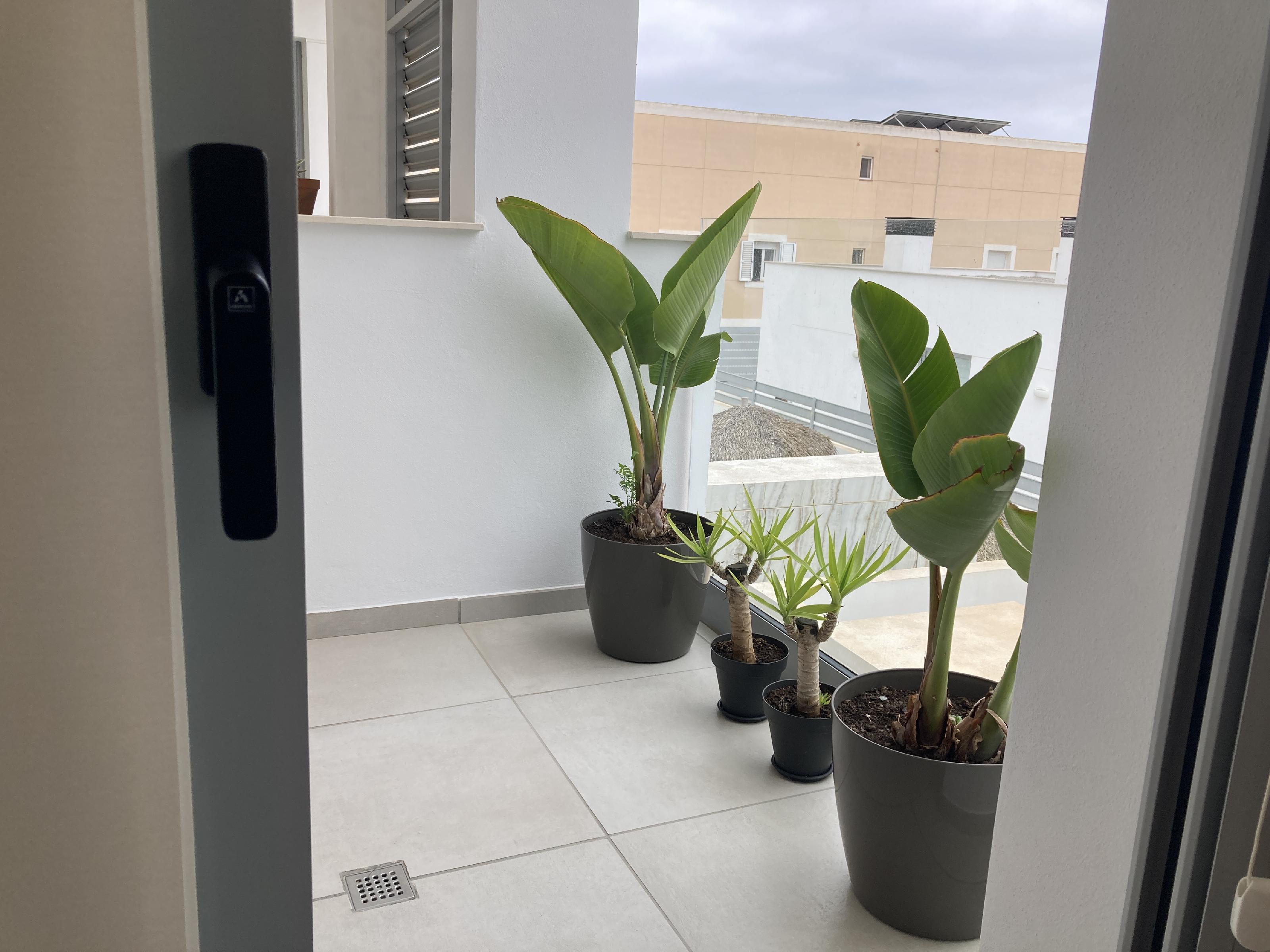 Imagen 6 Apartamento en venta en Eivissa / Artamento en Es Vive