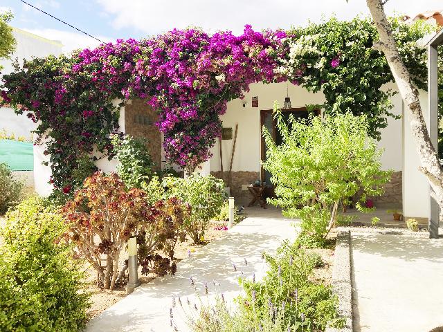 Imagen 1 Inmueble 303874 - Casa en venta en Santa Eulalia Del Río / Chalet independiente en Puig d´en Valls, 3hab + p...
