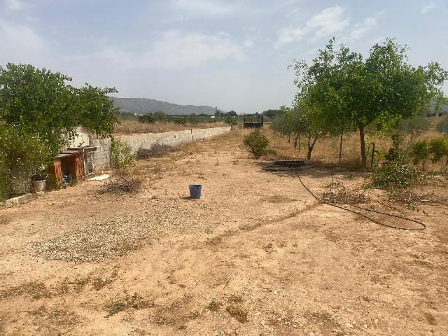 Imagen 8 Inmueble 304732 - Casa Adosada en venta en Pinós (El)/pinoso / En übeda, pedanía de Pinoso, a 7 km de Pinoso