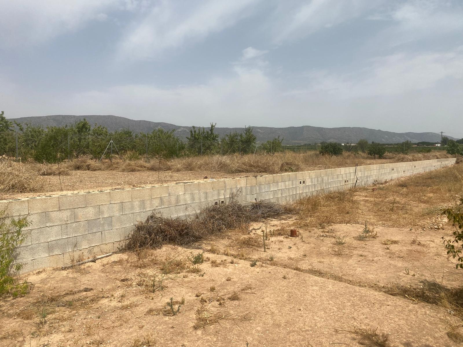 Imagen 20 Casa Adosada en venta en Pinós El/pinoso / En übeda, pedanía de Pinoso, a 7 km de Pinoso