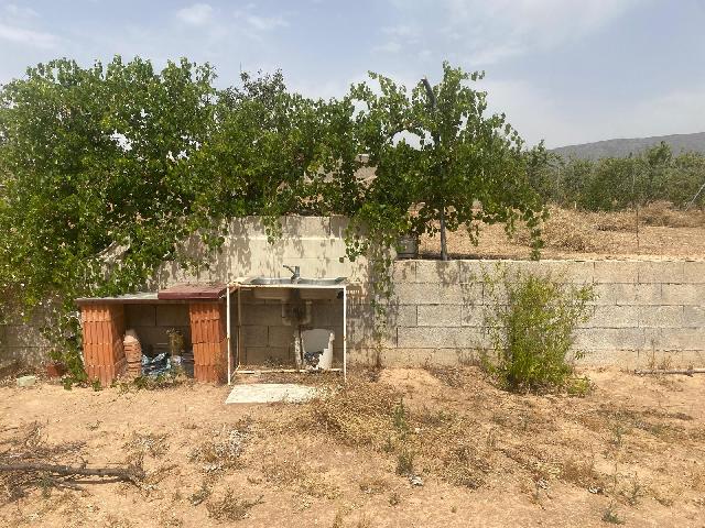 Imagen 31 Inmueble 304732 - Casa Adosada en venta en Pinós (El)/pinoso / En übeda, pedanía de Pinoso, a 7 km de Pinoso
