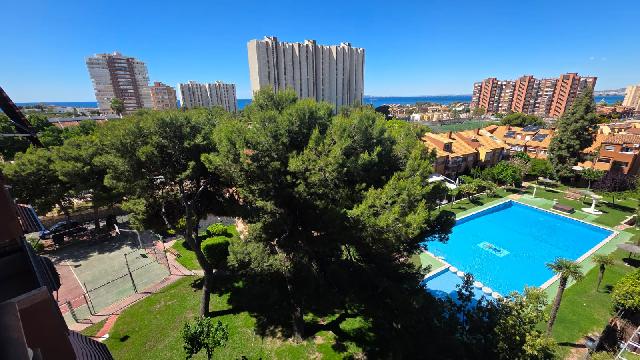 Imagen 20 Inmueble 304860 - Apartamento en venta en Alicante/alacant / En Alicante, cerca de la playa