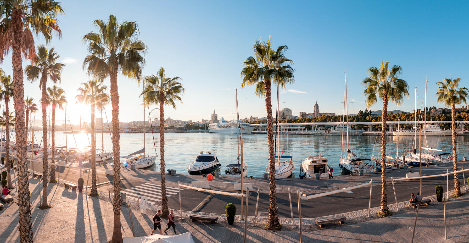 Imagen 4 Solar Urbano en venta en Málaga / Terreno edificable en zona de expansion distrito zeta