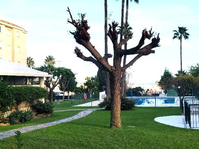 Imagen 6 Inmueble 306568 - Apartamento en venta en Torremolinos / Frente al Mercadona de Torremolinos