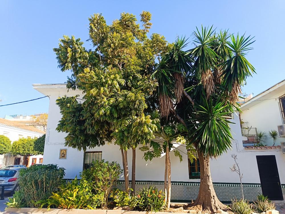 Imagen 21 Casa Adosada en venta en Fuengirola / Zona Puerto Deportivo