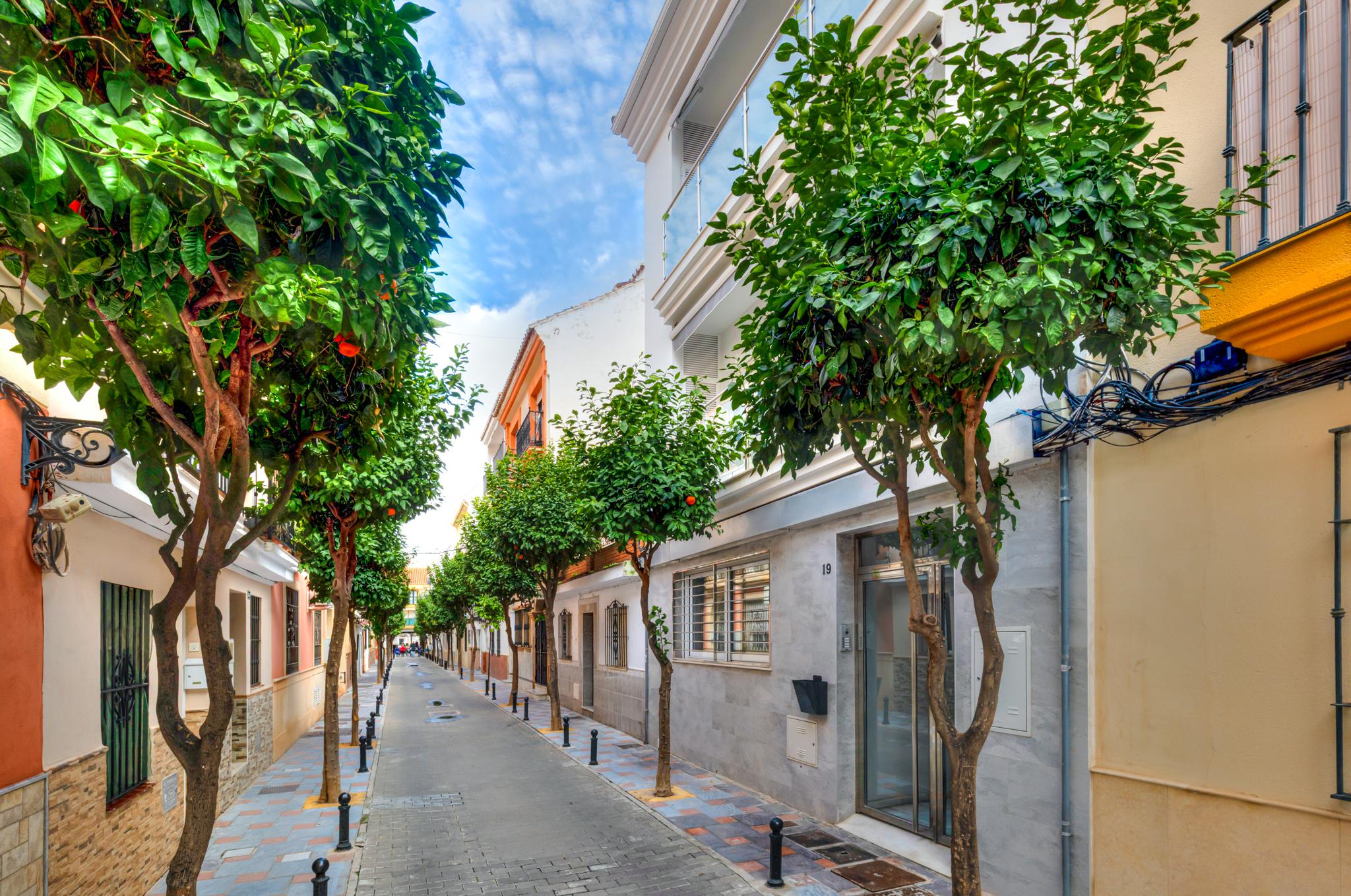 Imagen 25 Apto. Playa en venta en Fuengirola / Colegio Solhail