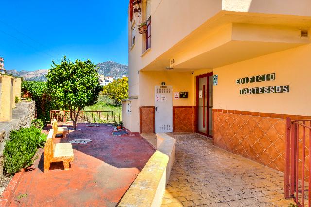 Imagen 15 Inmueble 301626 - Apto. Playa en venta en Fuengirola / Res. Los Tartesos - Los Pacos