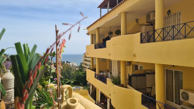 Imagen 11 Inmueble 303541 - Estudio en venta en Fuengirola / Zona de Torreblanca