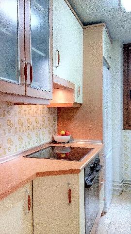 Imagen 8 Inmueble 235769 - Piso en alquiler en Donostia-San Sebastián / Paseo Aiete, Aiete. San Sebastián