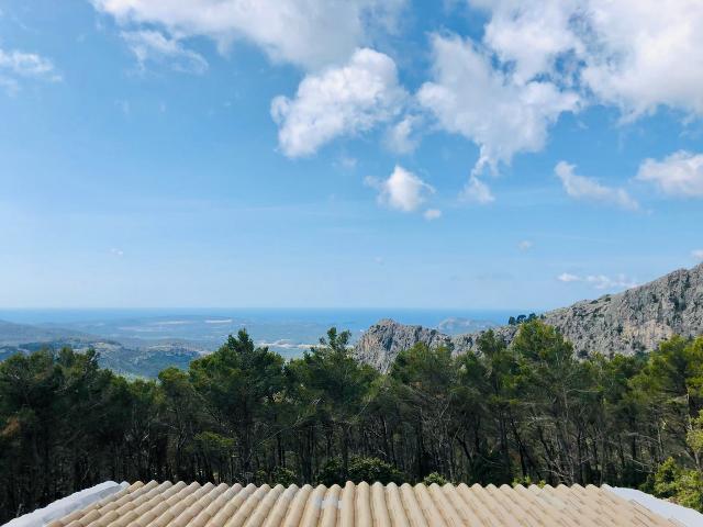 Imagen 17 Inmueble 288678 - Casa Rústica en venta en Puigpunyent / Puigpunyent-Suroeste de Mallorca