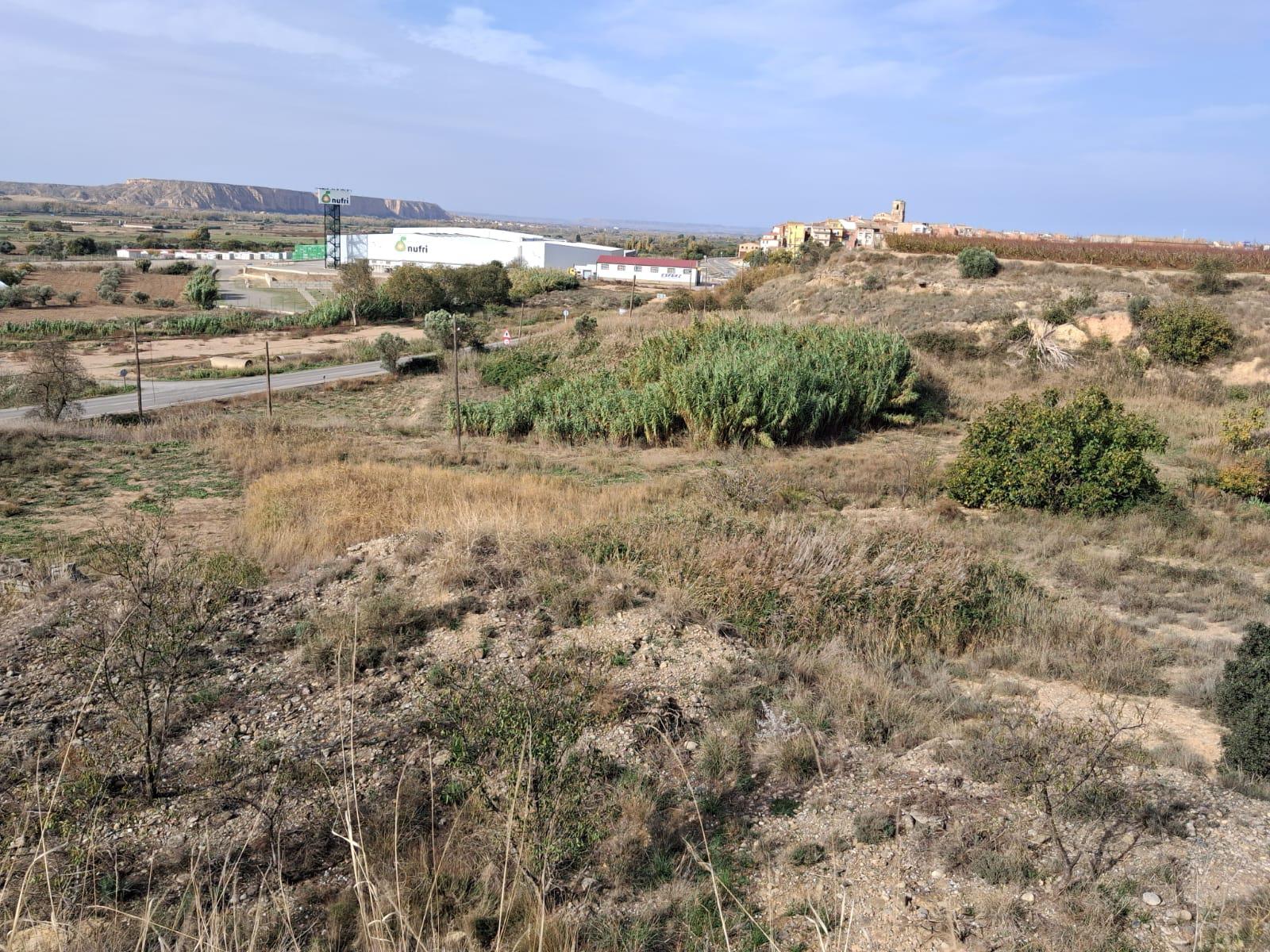 Imagen 3 Solar Rústico en venta en Belver De Cinca / Poligono 10 parcela 13