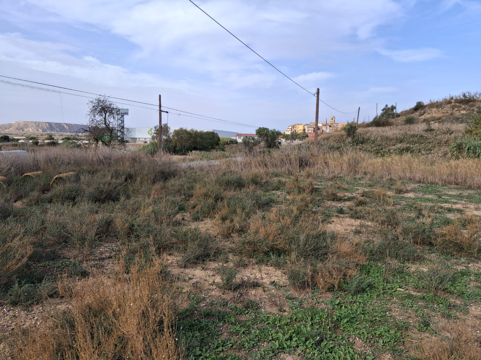 Imagen 4 Solar Rústico en venta en Belver De Cinca / Poligono 10 parcela 13