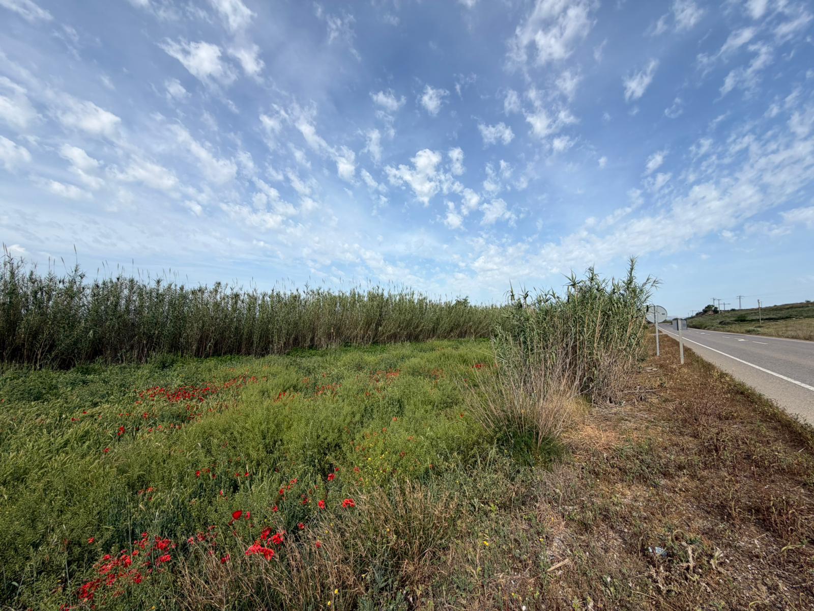 Imagen 1 Solar Rústico en venta en Albalate De Cinca / Carretera Monzón, cerca del pueblo