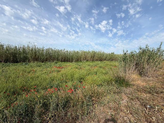 Imagen 3 Inmueble 302536 - Solar Rústico en venta en Albalate De Cinca / Carretera Monzón, cerca del pueblo