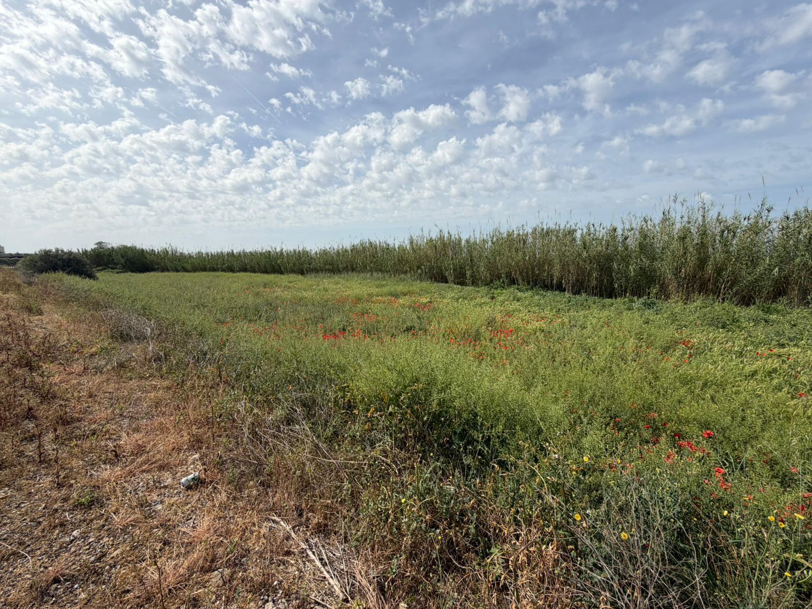 Imagen 6 Solar Rústico en venta en Albalate De Cinca / Carretera Monzón, cerca del pueblo