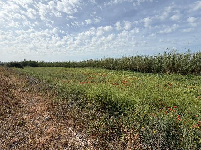 Imagen 6 Inmueble 302536 - Solar Rústico en venta en Albalate De Cinca / Carretera Monzón, cerca del pueblo