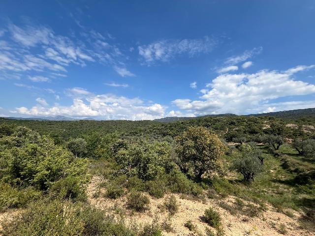 Imagen 4 Inmueble 302637 - Solar Rústico en venta en Alquézar / Radiquero, término de alquezar