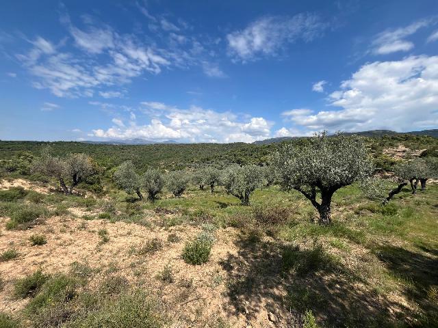 Imagen 6 Inmueble 302637 - Solar Rústico en venta en Alquézar / Radiquero, término de alquezar