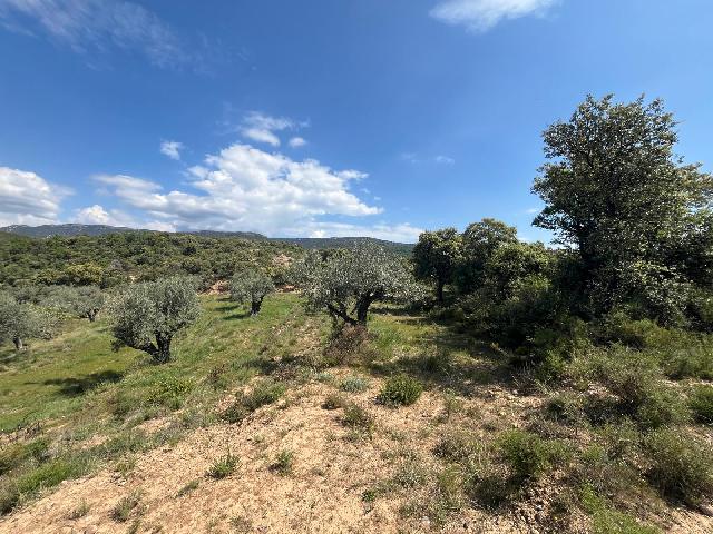 Imagen 8 Inmueble 302637 - Solar Rústico en venta en Alquézar / Radiquero, término de alquezar