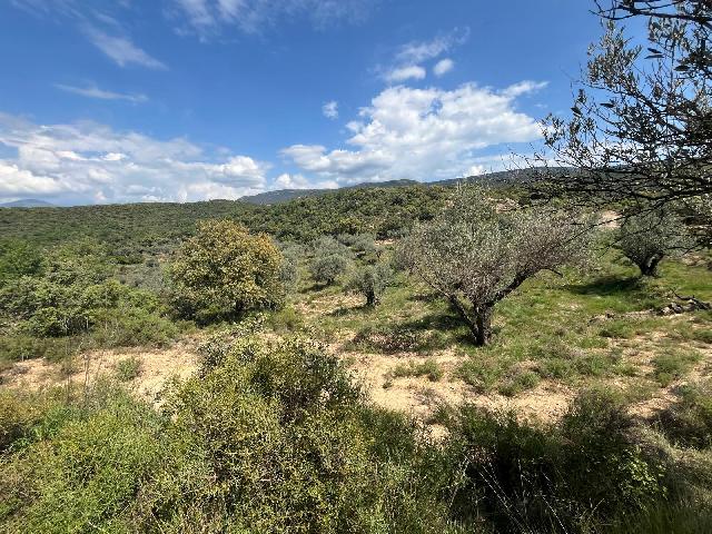 Imagen 3 Inmueble 302637 - Solar Rústico en venta en Alquézar / Radiquero, término de alquezar