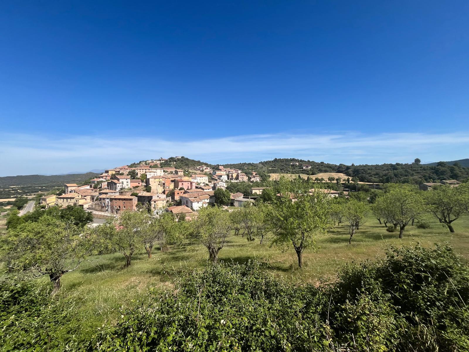 Imagen 2 Solar Rústico en venta en Hoz Y Costean / Polígono 2 parcela 213