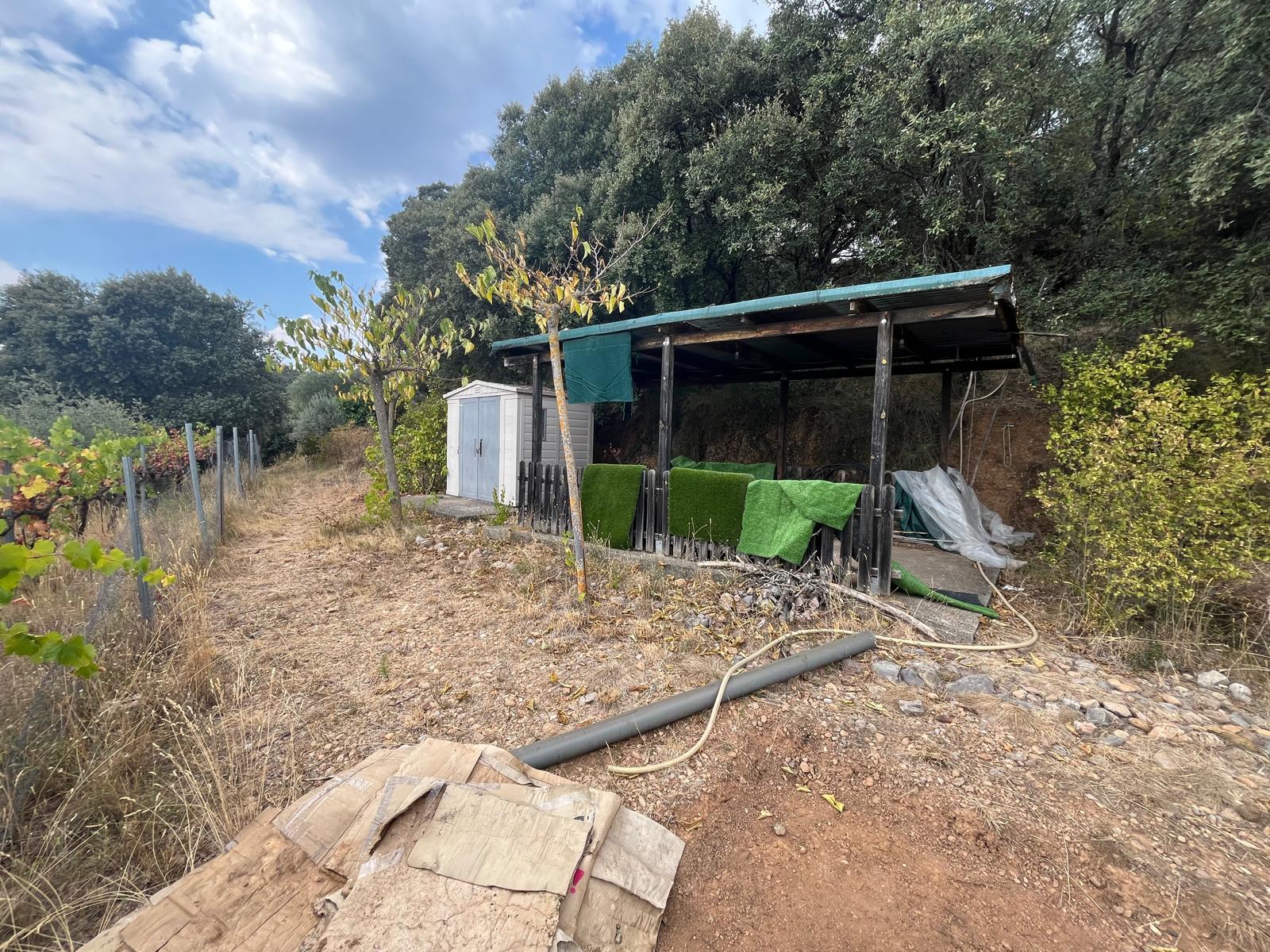 Imagen 1 Solar Rústico en venta en Hoz Y Costean / Muy cerca del pueblo