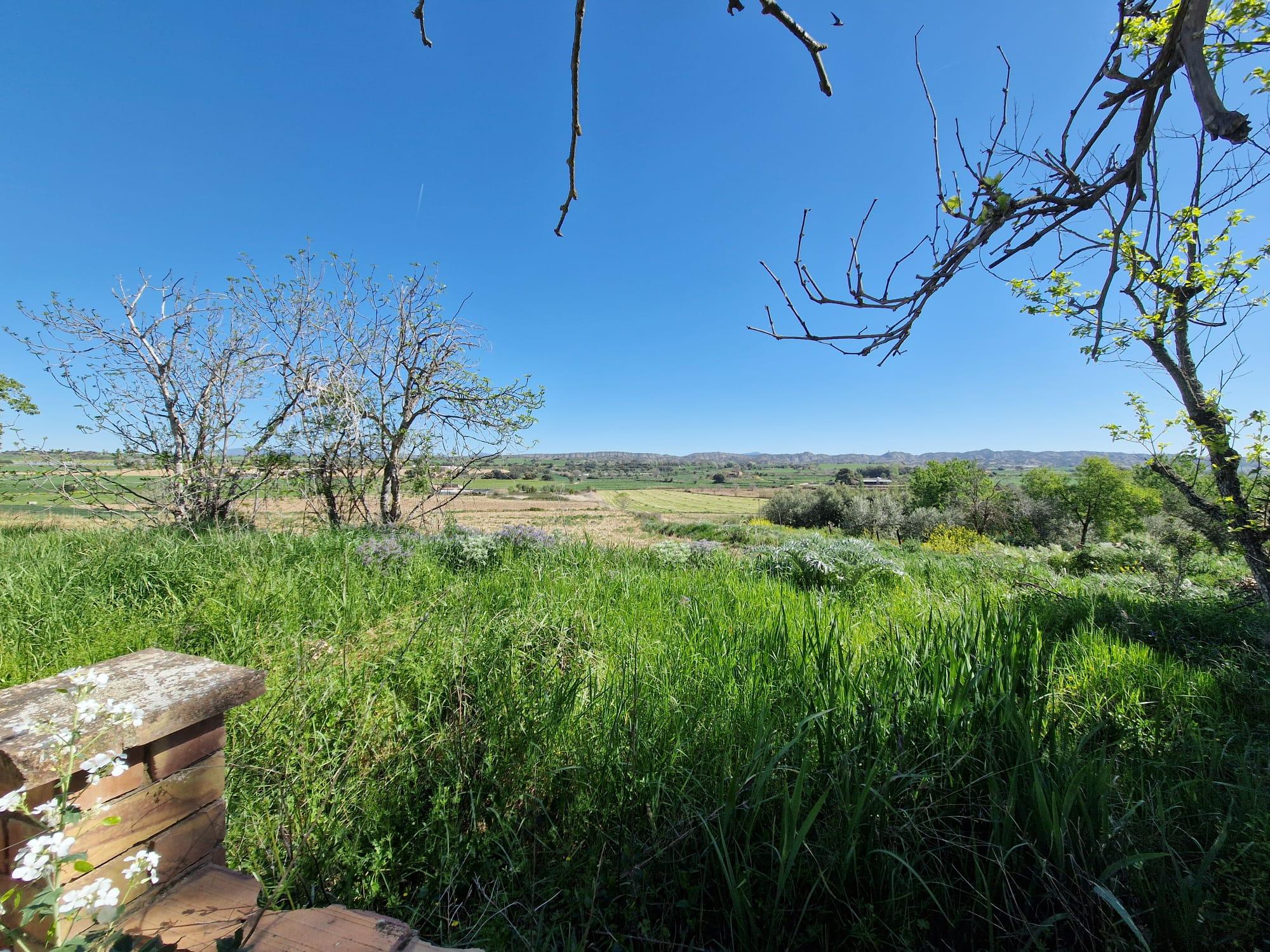 Imagen 8 Solar Rústico en venta en San Esteban De Litera / Término de San Esteban.