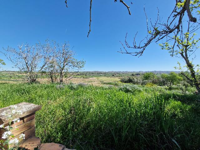 Imagen 8 Inmueble 256114 - Solar Rústico en venta en San Esteban De Litera / Término de San Esteban.