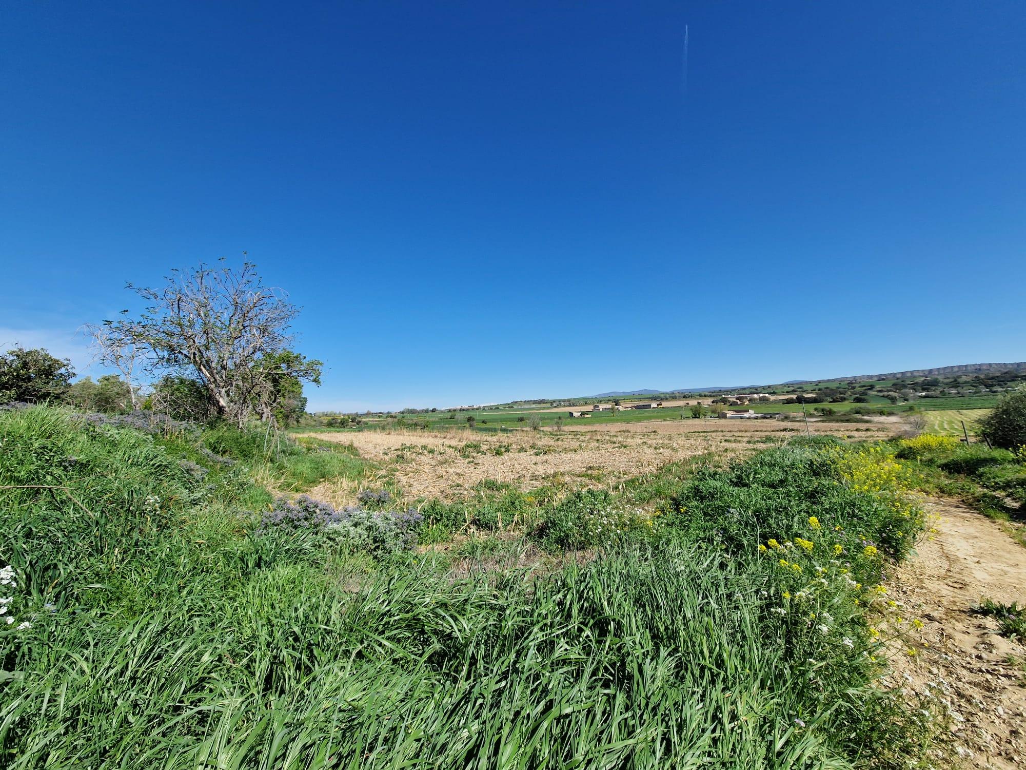 Imagen 9 Solar Rústico en venta en San Esteban De Litera / Término de San Esteban.