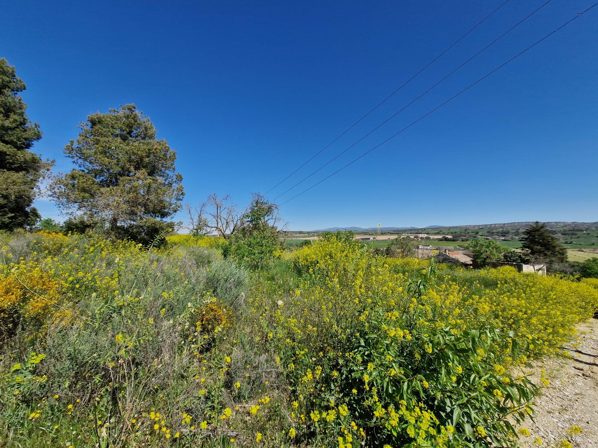 Imagen 11 Solar Rústico en venta en San Esteban De Litera / Término de San Esteban.