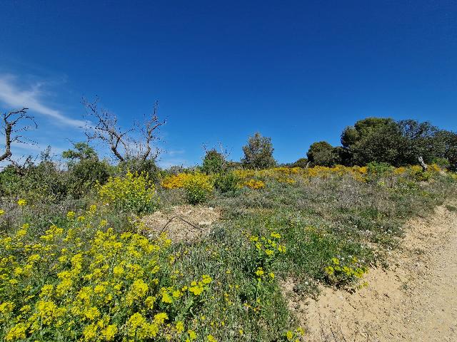 Imagen 22 Inmueble 256114 - Solar Rústico en venta en San Esteban De Litera / Término de San Esteban.
