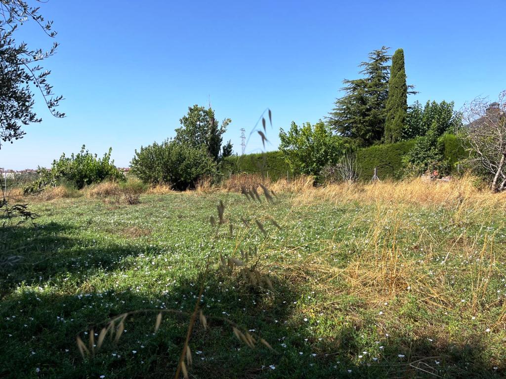 Imagen 30 Casa Aislada en venta en Binéfar / Junto al Complrjo Deportivo de Los Olmos