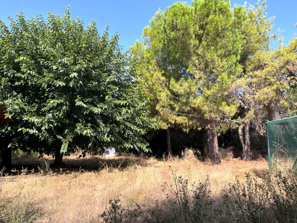 Imagen 29 Casa Aislada en venta en Binéfar / Junto al Complrjo Deportivo de Los Olmos