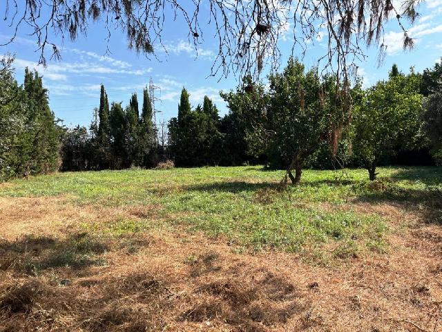 Imagen 31 Inmueble 275638 - Casa Aislada en venta en Binéfar / Junto al Complrjo Deportivo de Los Olmos
