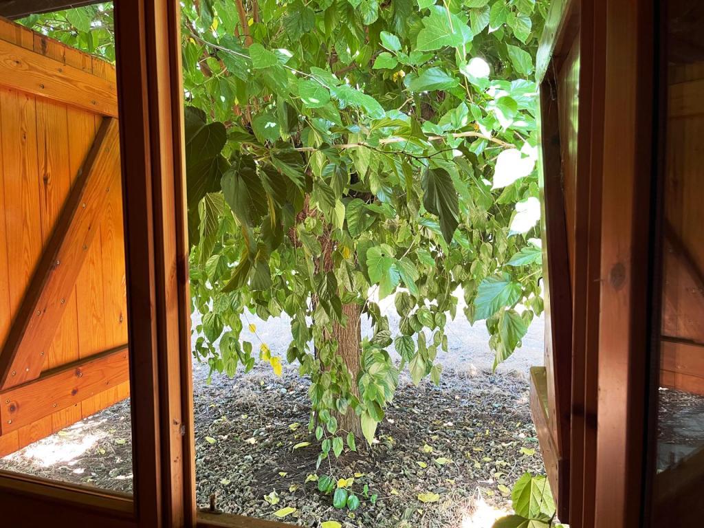 Imagen 19 Casa Aislada en venta en Binéfar / Junto al Complrjo Deportivo de Los Olmos