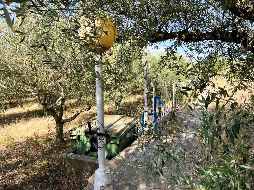 Imagen 21 Solar Rústico en venta en Baldellou / A tan sólo 500 metros de Baldellou