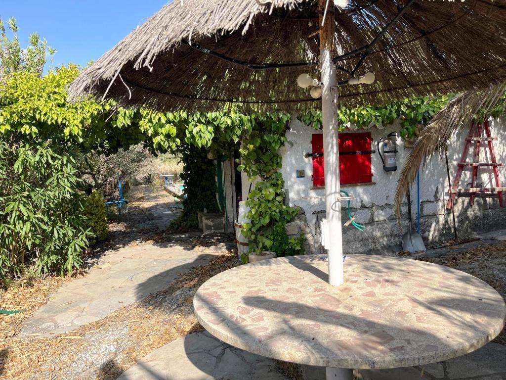 Imagen 2 Solar Rústico en venta en Baldellou / A tan sólo 500 metros de Baldellou