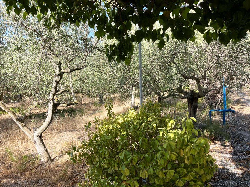 Imagen 23 Solar Rústico en venta en Baldellou / A tan sólo 500 metros de Baldellou