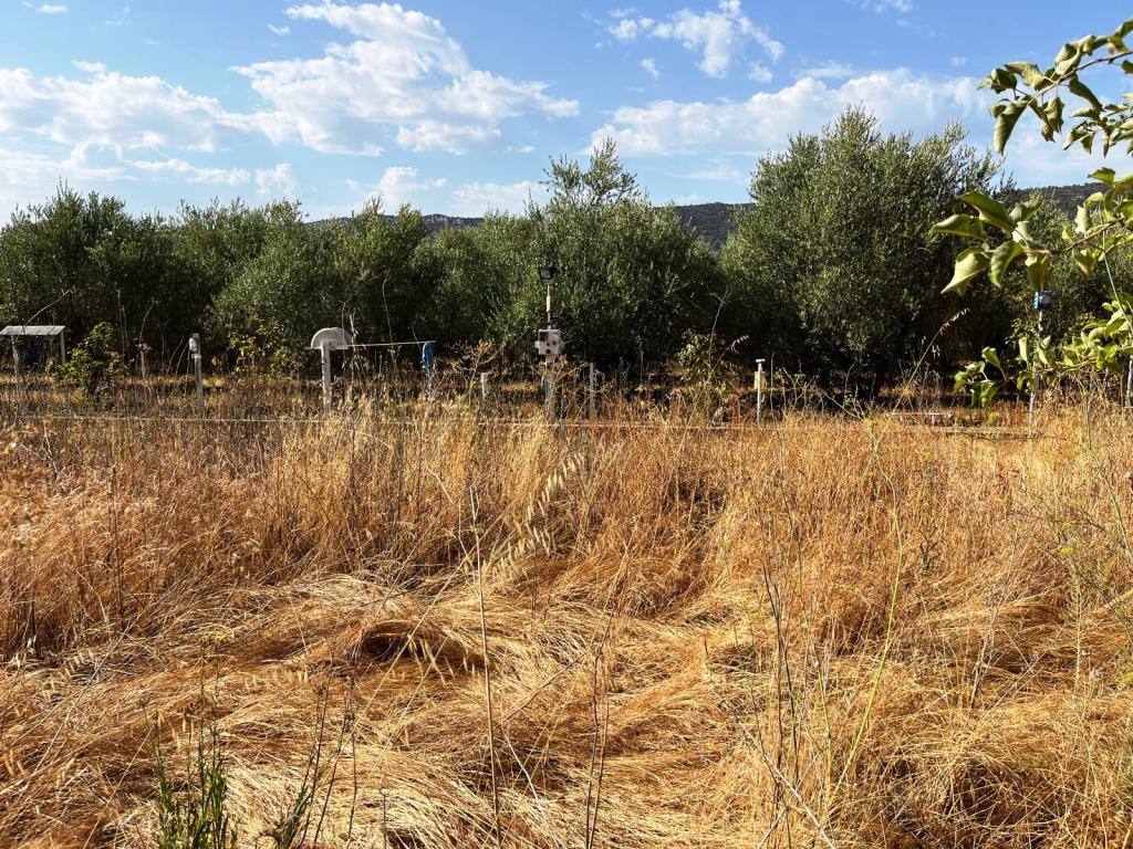Imagen 32 Solar Rústico en venta en Baldellou / A tan sólo 500 metros de Baldellou