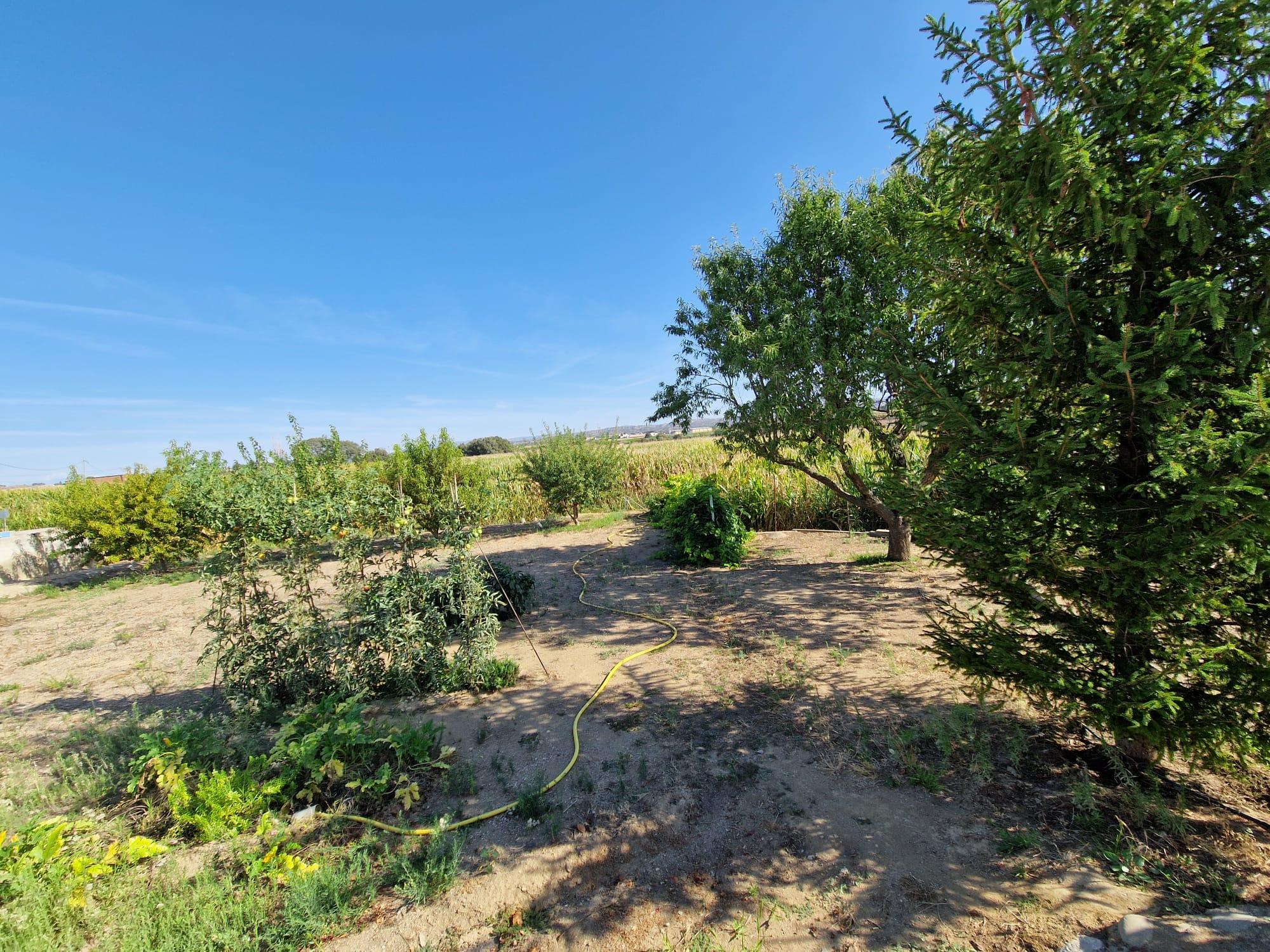 Imagen 26 Casa en venta en San Esteban De Litera / A dos km. de Binéfar.