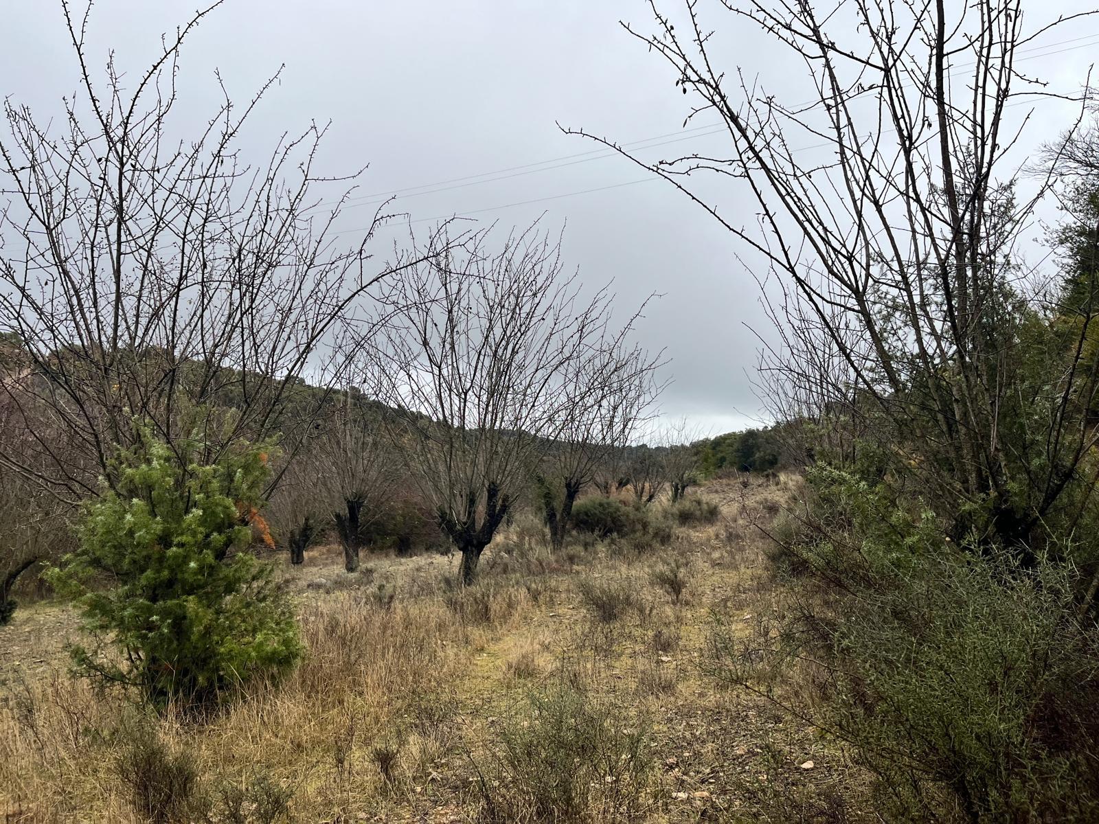 Imagen 8 Solar Rústico en venta en Hoz Y Costean / Partida Perramón Hoz de barbastro