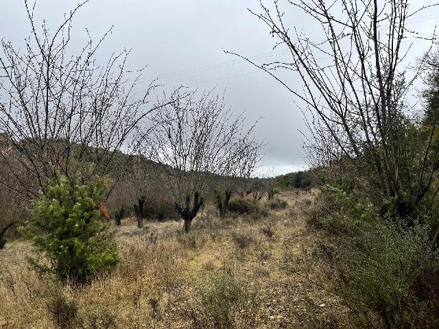 Imagen 8 Inmueble 294067 - Solar Rústico en venta en Hoz Y Costean / Partida Perramón Hoz de barbastro