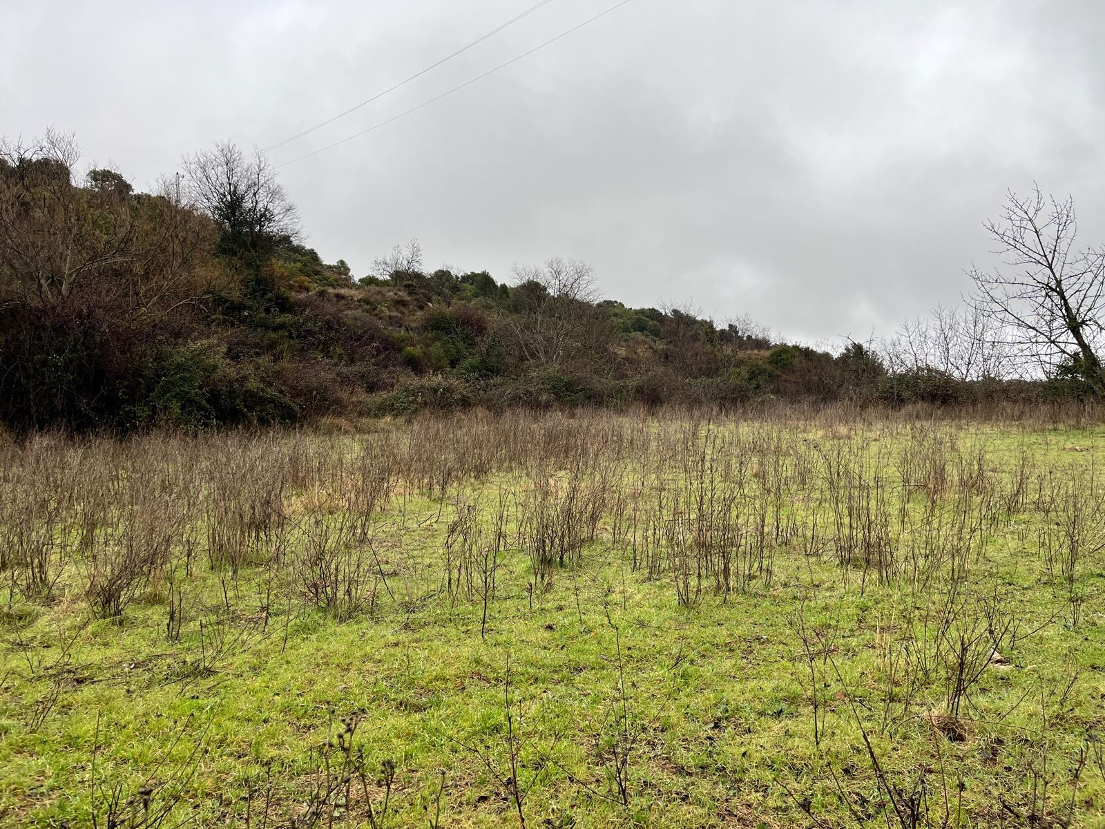 Imagen 6 Solar Rústico en venta en Hoz Y Costean / Partida Perramón Hoz de barbastro