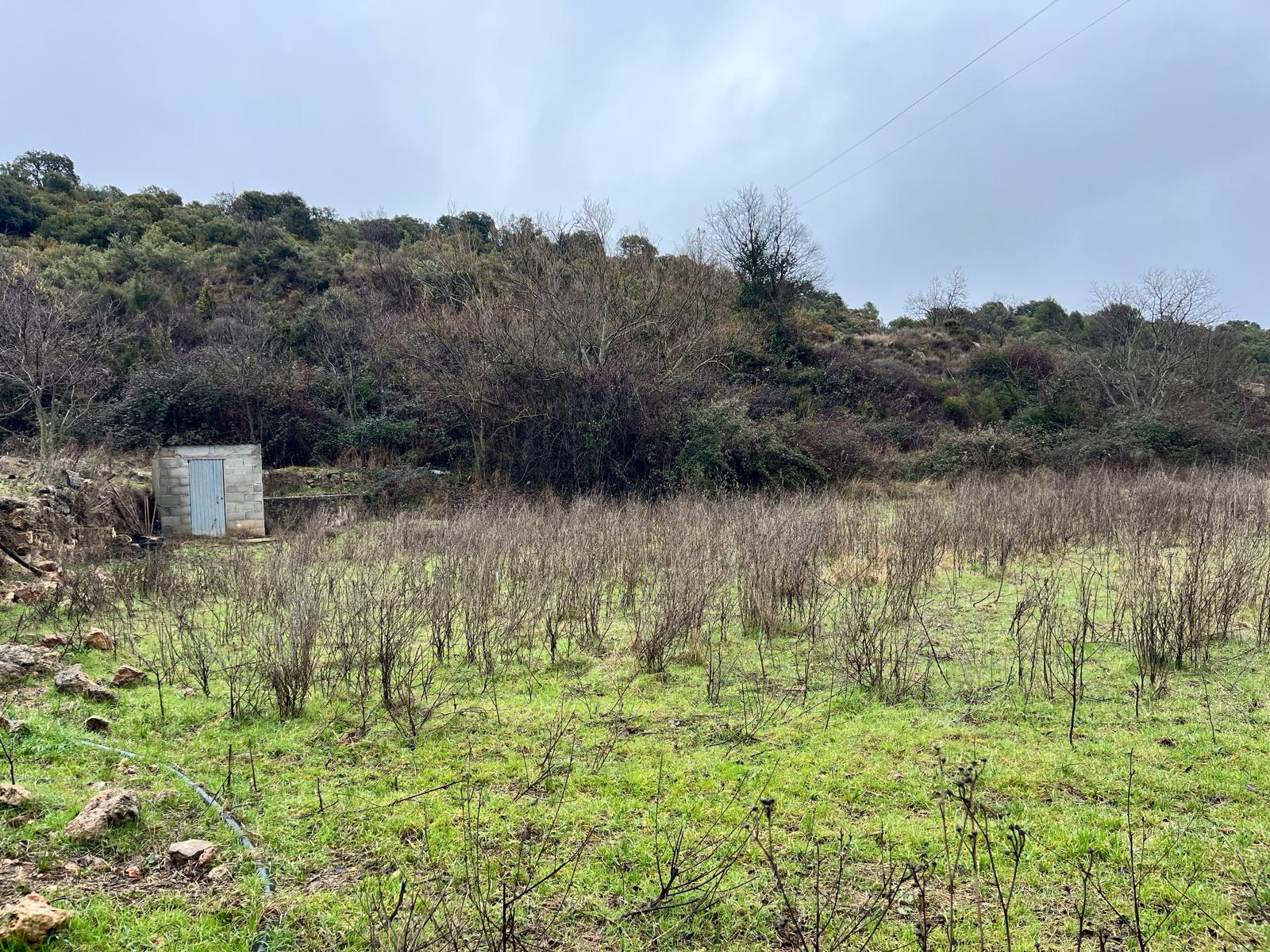 Imagen 4 Solar Rústico en venta en Hoz Y Costean / Partida Perramón Hoz de barbastro