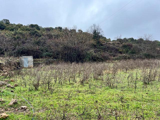 Imagen 4 Inmueble 294067 - Solar Rústico en venta en Hoz Y Costean / Partida Perramón Hoz de barbastro