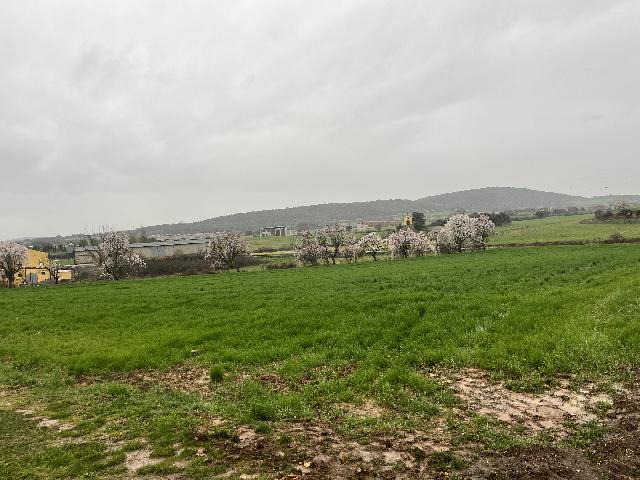 Imagen 8 Inmueble 301095 - Local Industrial en venta en Benabarre / Zona de atrás del Cuartel de la Guardia Civil