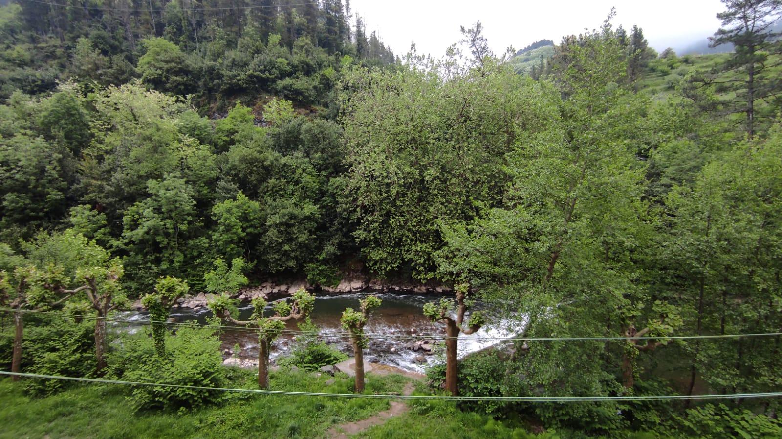 Imagen 17 Piso en venta en Soraluze/placencia De Las Armas / Grupo Serafin Atxotegi